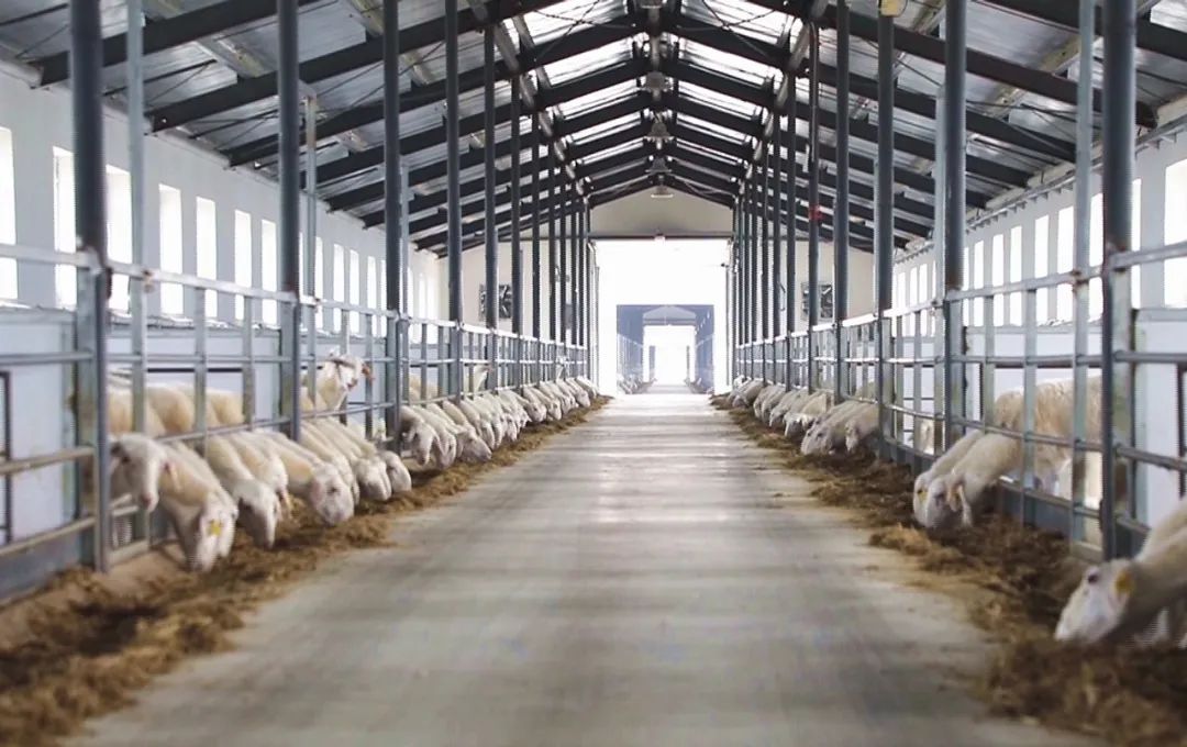 1700096743289177.jpg 1700096743289177.jpg